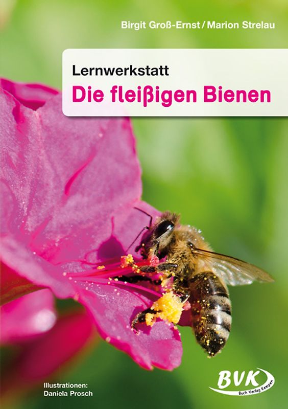 Lernwerkstatt Die fleißigen Bienen