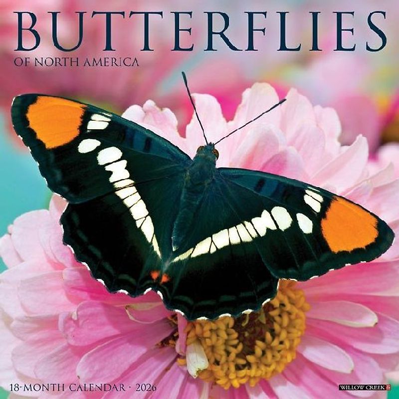 Butterflies 2026 12 X 12 Wall Calendar