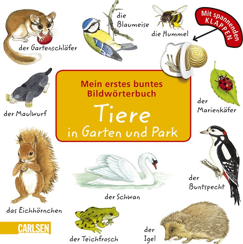 Mein erstes buntes Bildwörterbuch: Tiere in Garten und Park