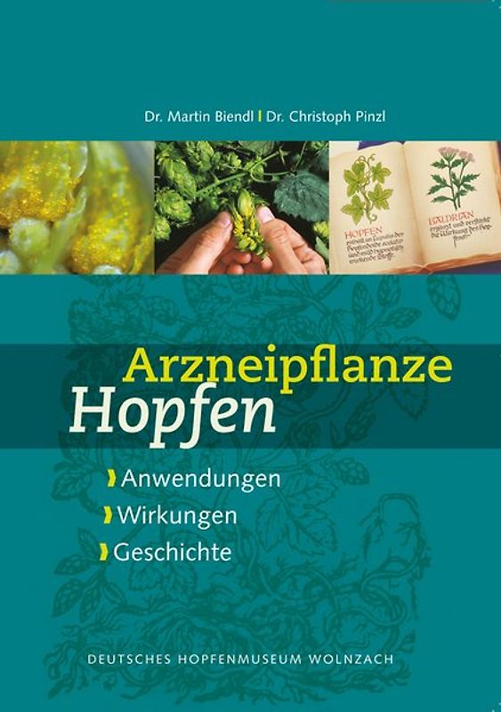 Arzneipflanze Hopfen
