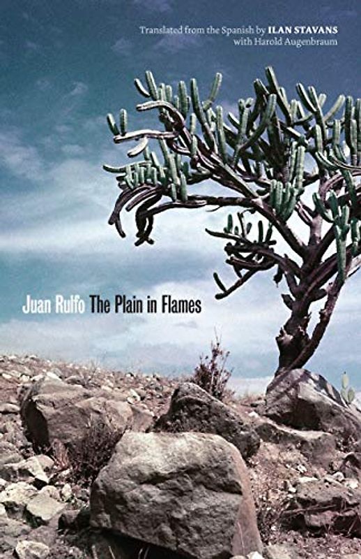 The Plain in Flames (Joe R. and Teresa Lozano Long Series in Latin American and Latino Art and Culture)