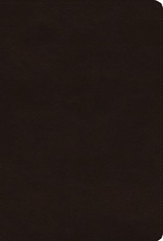 ESV Giant Print Thinline Bible, Red Letter (Trutone, Deep Brown)