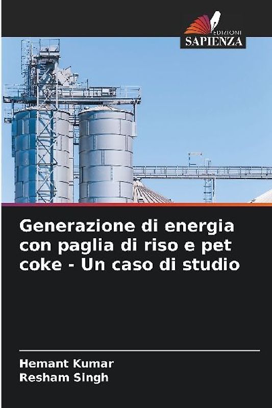 Generazione di energia con paglia di riso e pet coke - Un caso di studio