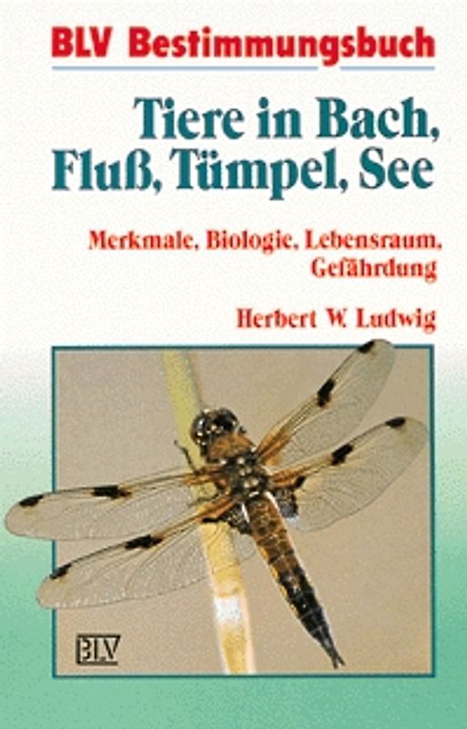 Tiere in Bach, Fluss, Tümpel, See