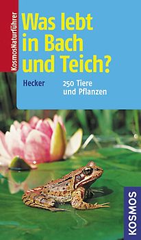 Was lebt in Bach und Teich?