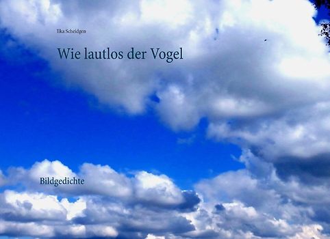 Wie lautlos der Vogel