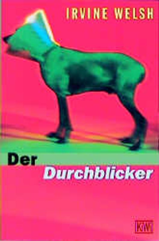 Der Durchblicker. Novelle