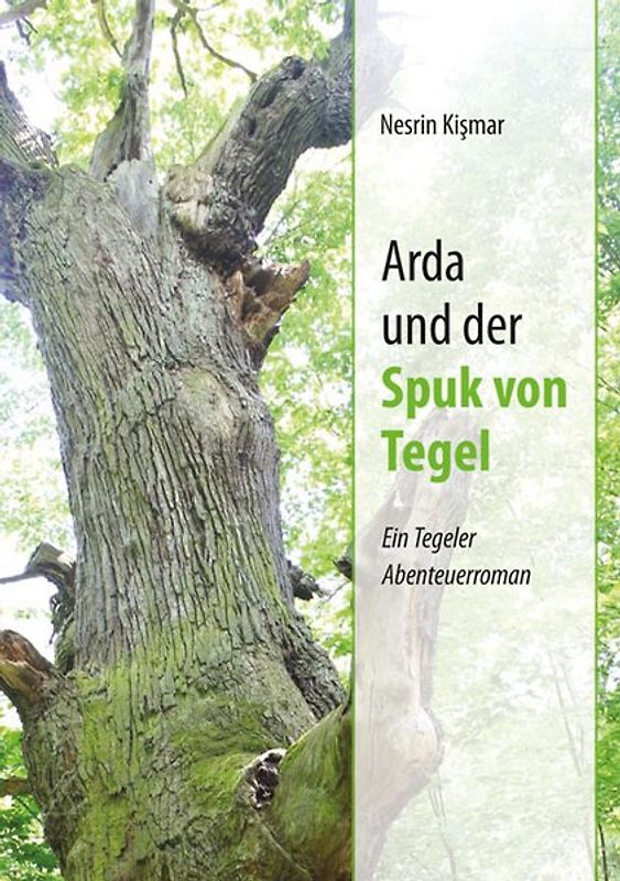 Arda und der Spuk von Tegel