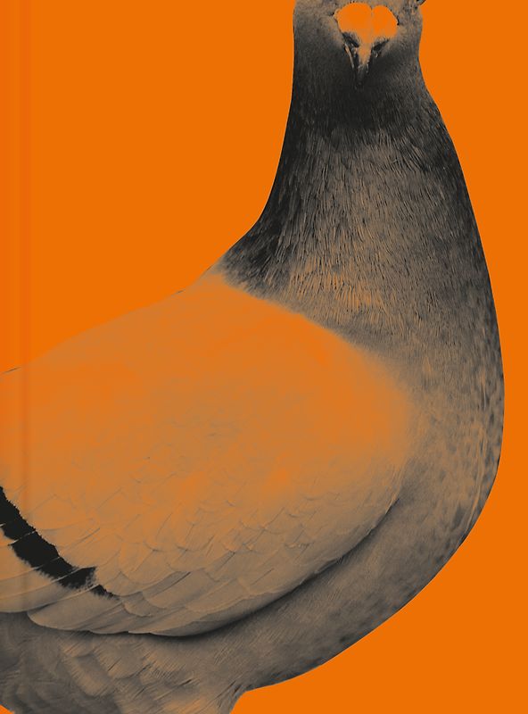 Was bleibt morgen übrig von gestern