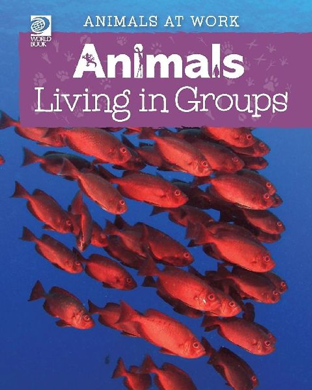 Animals Living in Groups