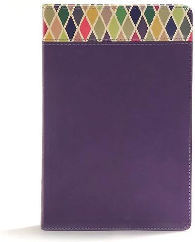 CSB Rainbow Study Bible, Purple Leathertouch