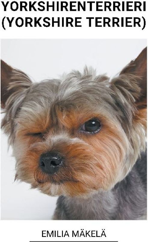 Yorkshiren Terrieri (Yorkshire Terrier)