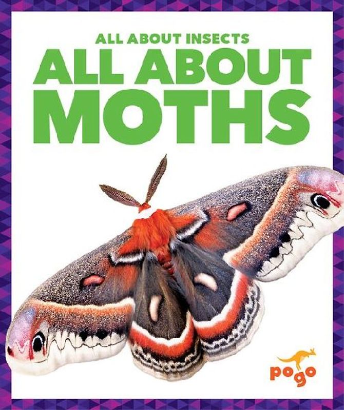 All about Moths
