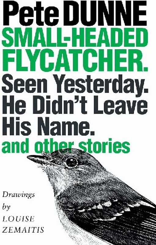 Small-headed Flycatcher. Seen Yesterday. He Didn't Leave His Name.