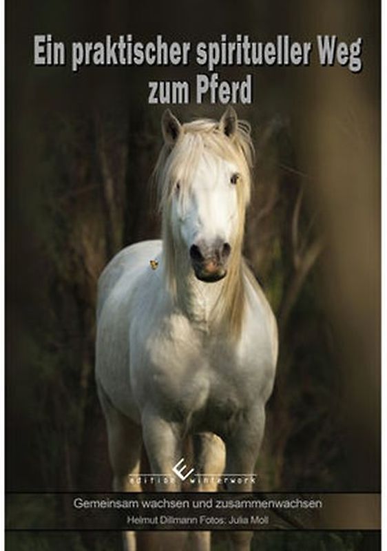 Ein praktischer spiritueller Weg zum Pferd