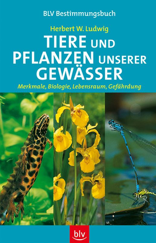 Tiere und Pflanzen unserer Gewässer