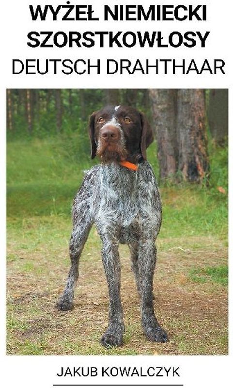 Wyżel Niemiecki Szorstkowlosy (Deutsch Drahthaar)
