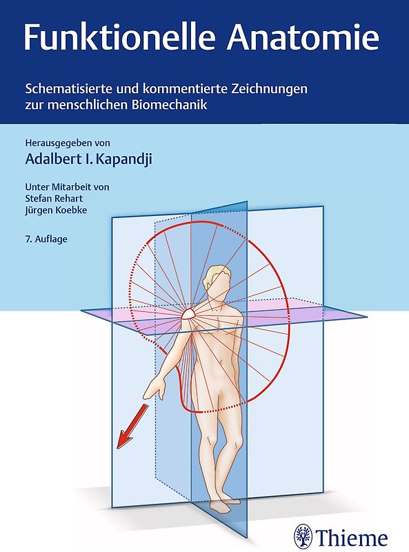 Funktionelle Anatomie