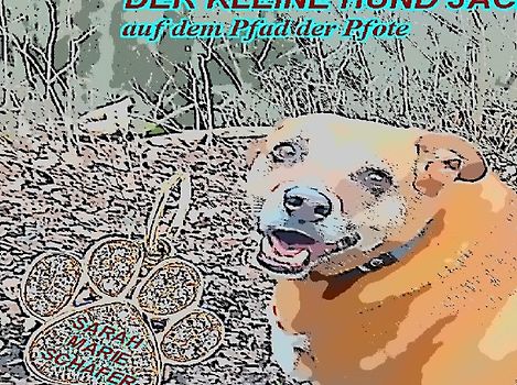 Der kleine Hund Jack auf dem Pfad der Pfote