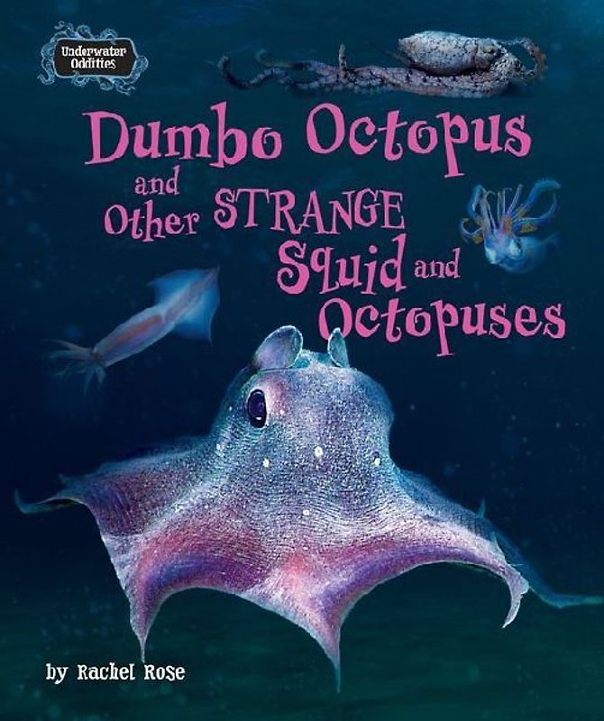 Dumbo Octopus and Other Strange Squid and Octopuses
