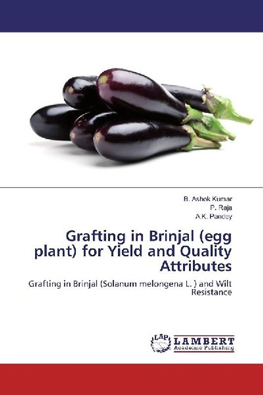 Grafting in Brinjal (egg plant) for Yield and Quality Attributes