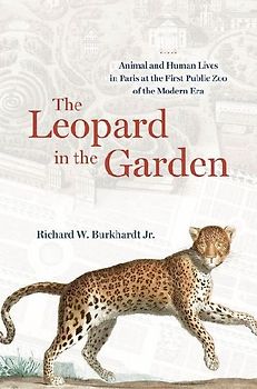The Leopard in the Garden
