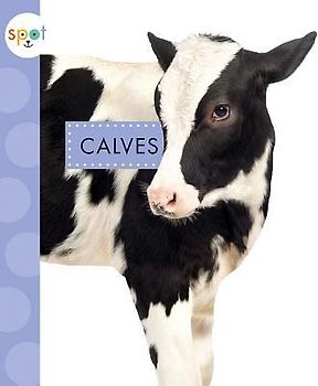 Calves