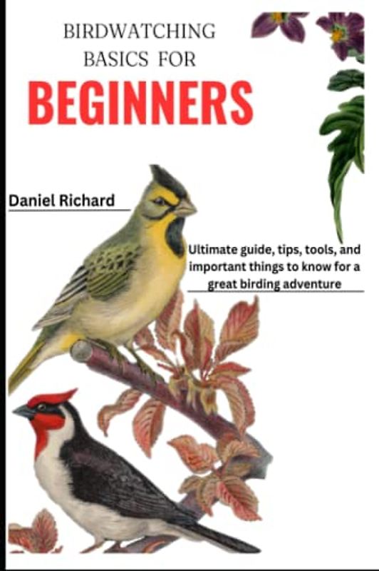Birdwatching basics for beginners: Ultimate guide tip, tool and important things to know for a great birding adventure