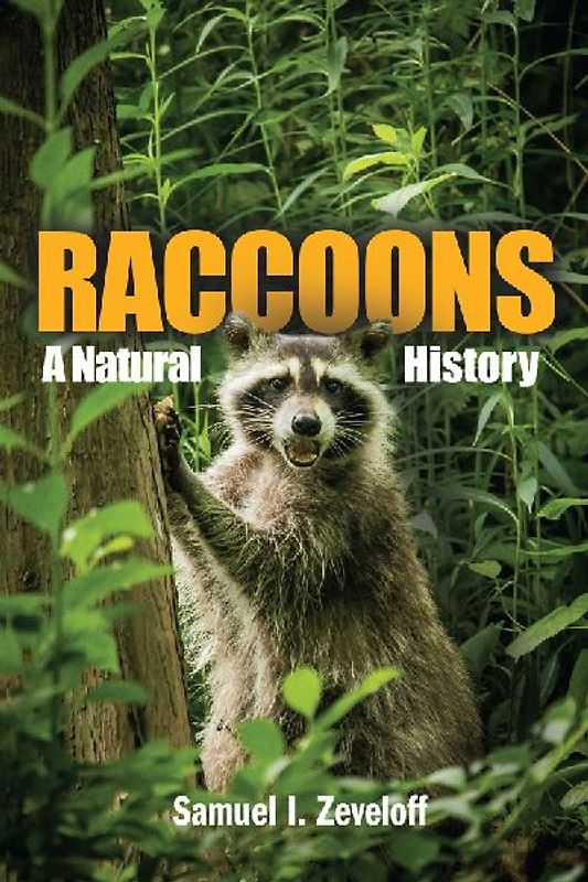 Raccoons