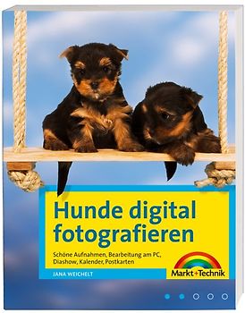 Hunde digital fotografieren