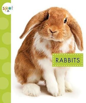 Rabbits