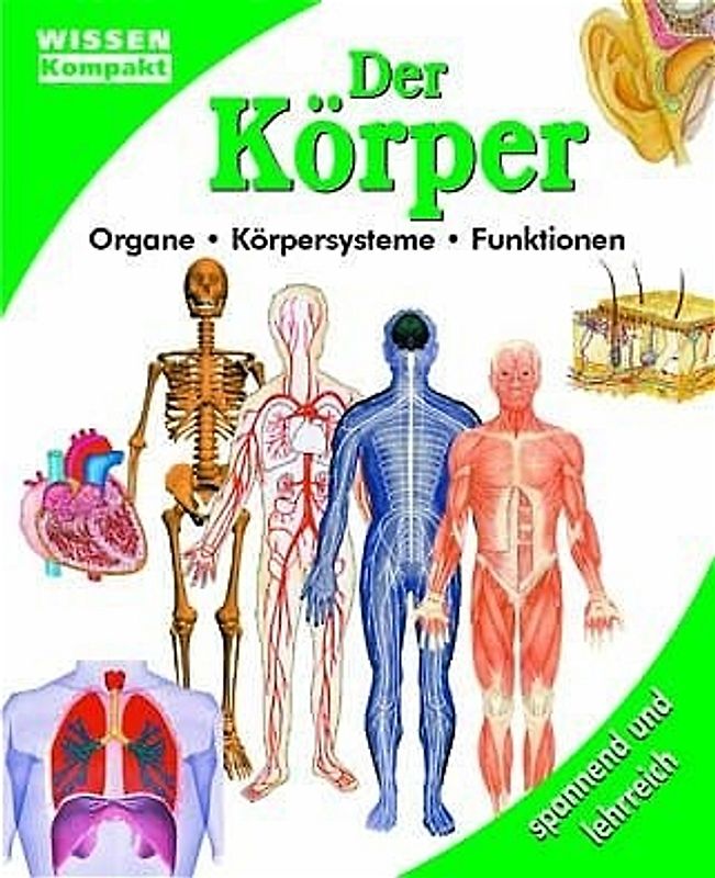 Der Körper