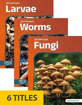 Decomposers (Set of 6)