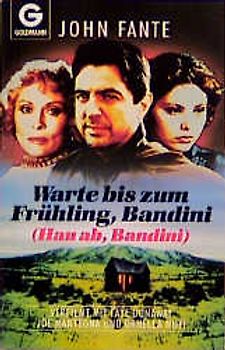 Hau ab Bandini. Roman