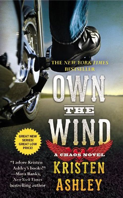 Own the Wind: A Chaos Novel