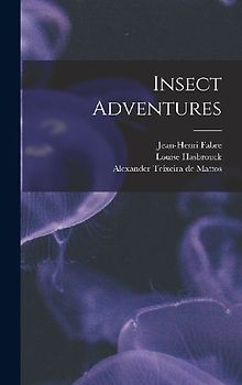 Insect Adventures