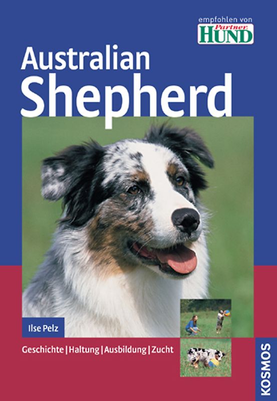Australian Shepherd
