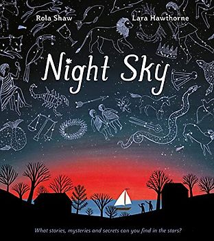Night Sky: Be the next Brian Cox this Christmas and discover the extraordinary mysteries of the night sky in this captivating STEAM book!