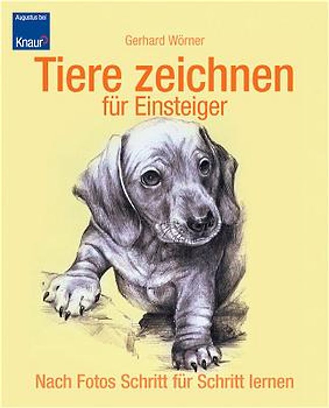 Tiere zeichnen für Einsteiger