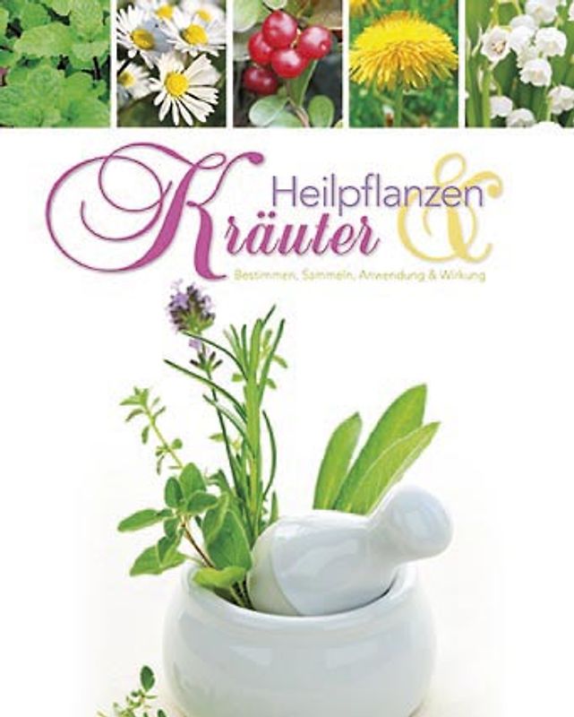 Heilpflanzen & Kräuter