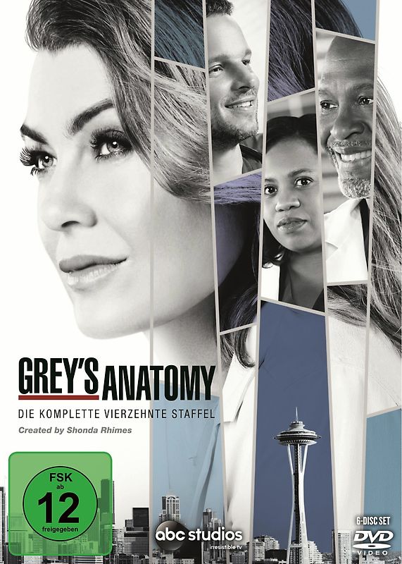 Grey's Anatomy: Die jungen Ärzte - Die komplette 14. Staffel [6 DVDs] DVD