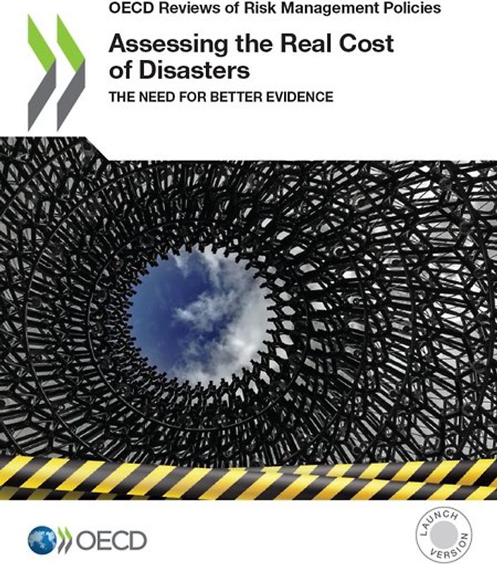 Assessing the Real Cost of Disasters