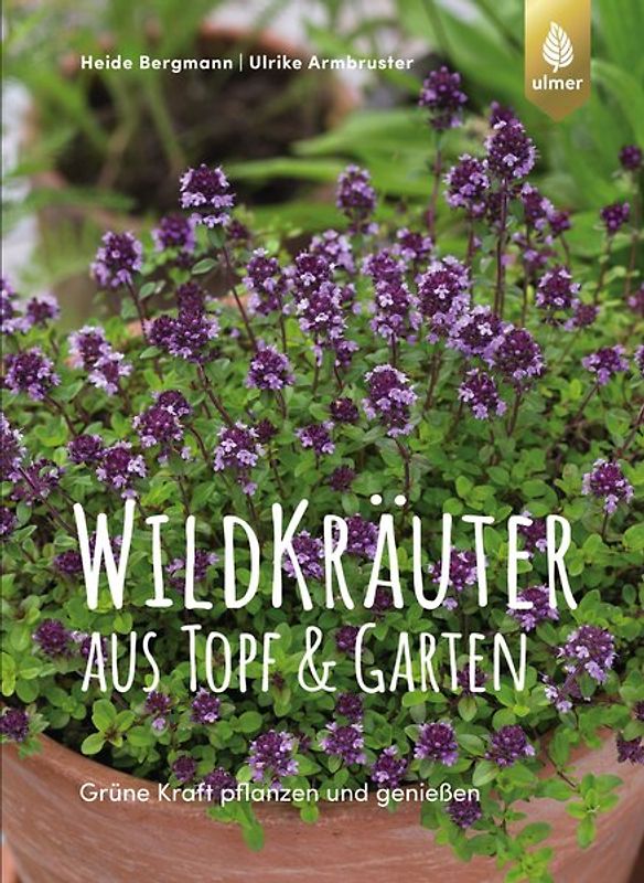 Wildkräuter aus Topf und Garten