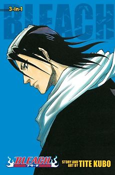Bleach (3-in-1 Edition), Vol. 3 - Tite Kubo