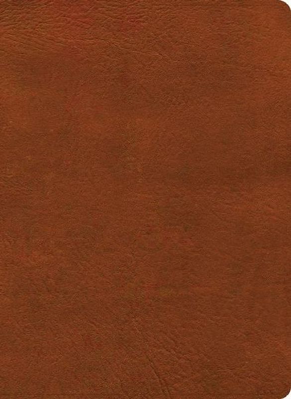 NASB Study Bible, Burnt Sienna Leathertouch, Indexed