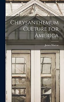 Chrysanthemum Culture for America