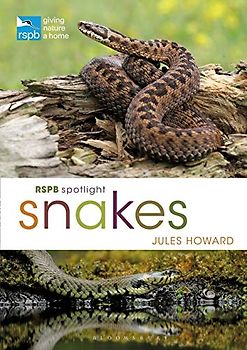 RSPB Spotlight Snakes