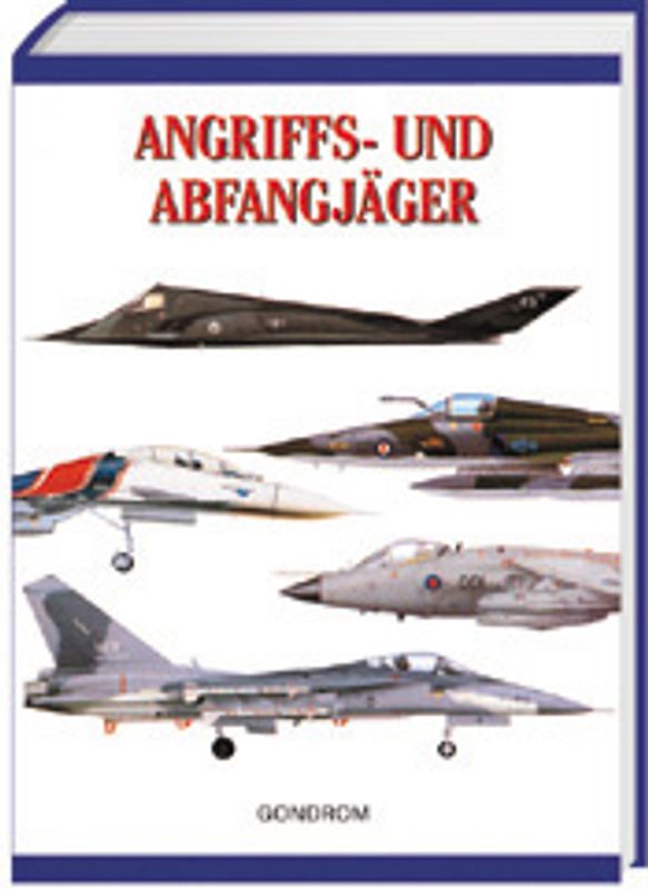 Angriffs- und Abfangjäger