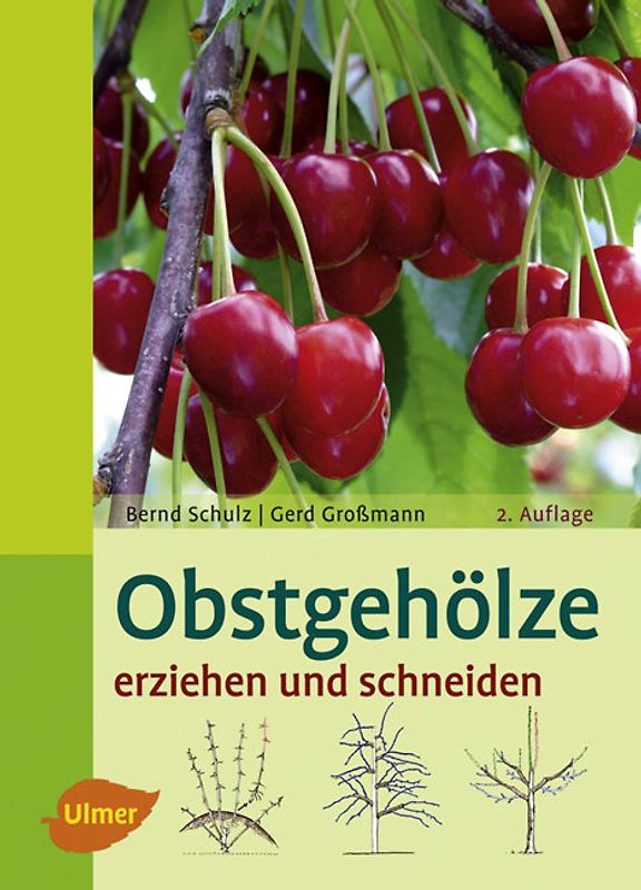 Obstgehölze erziehen und schneiden