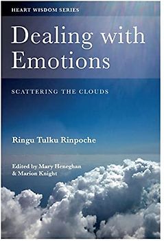 Dealing with Emotions